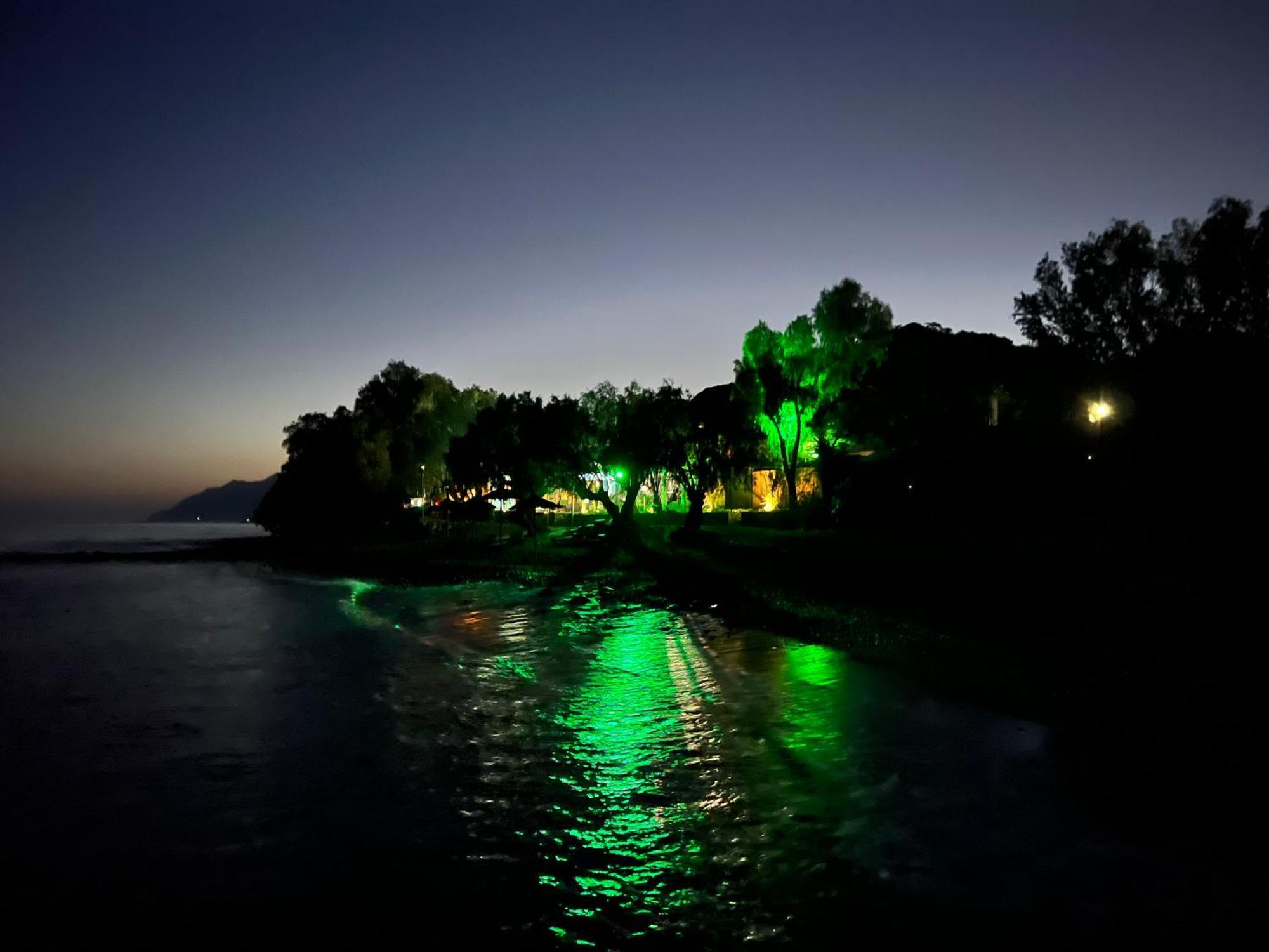 Nikkon Luxury Living Villa Arvi  Exterior photo